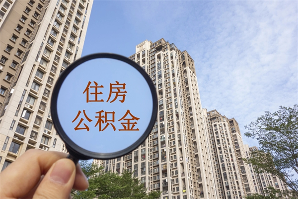 东阳如何把封存离职公积金全部取来（离职封存公积金提取业务）